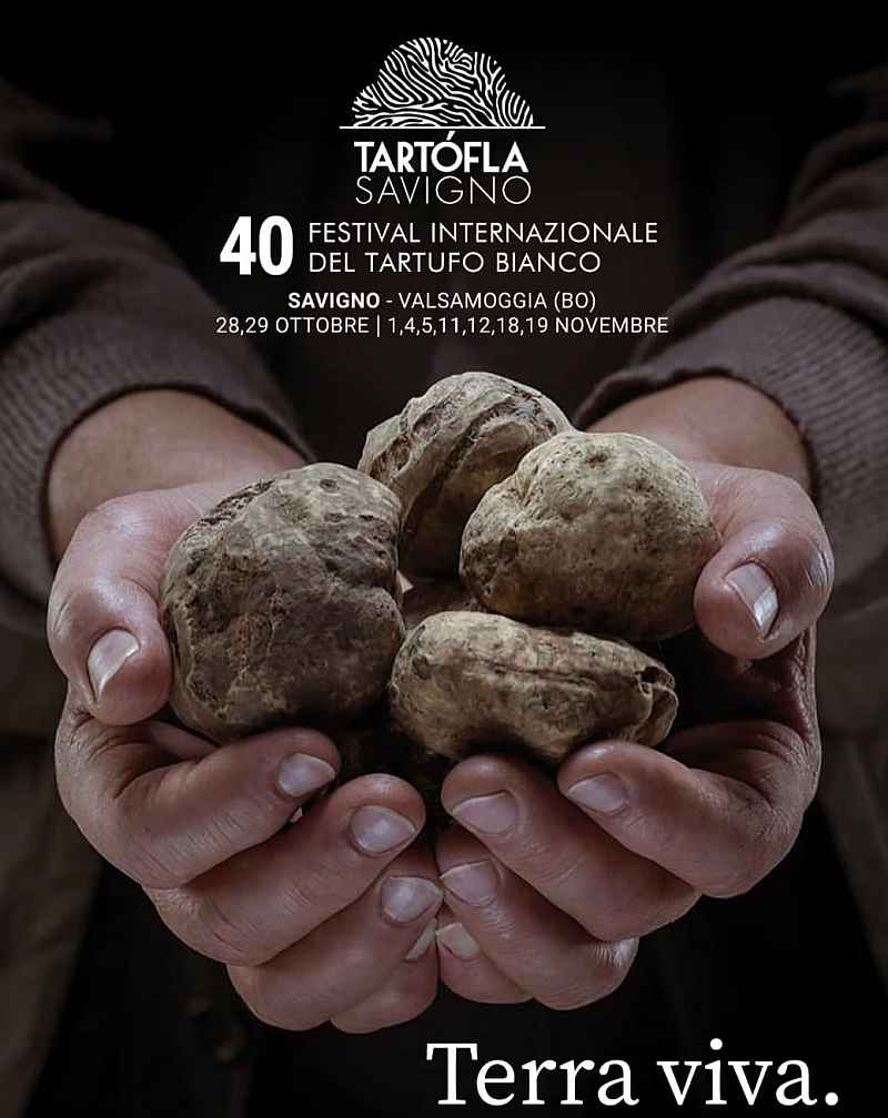 Savigno (BO)
"Tartόfla - 40° Festival internazionale del Tartufo Bianco"
28-29 ottobre | 1, 4-5, 11-12, 18-19 novembre 2023